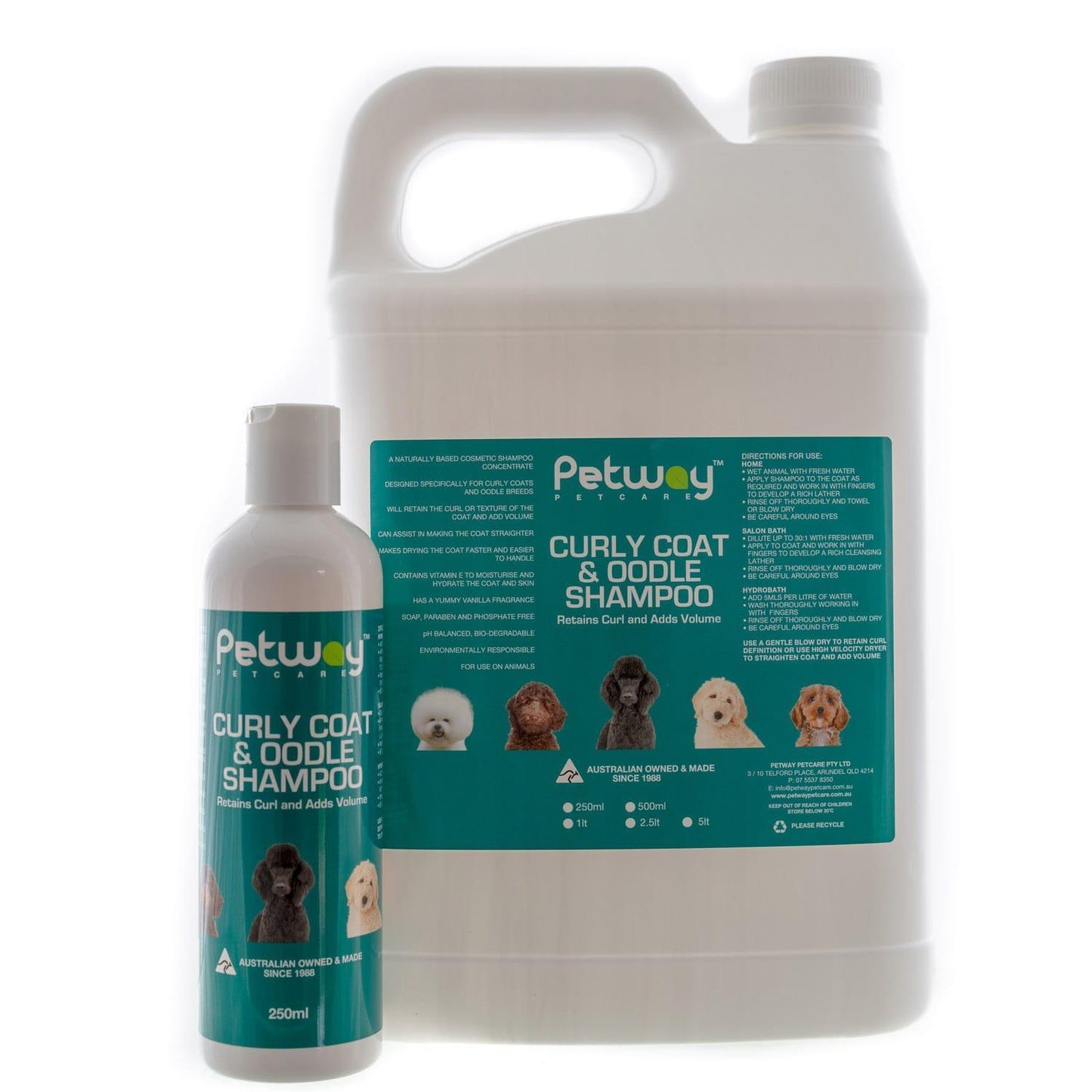 Petway Curly Coat & Oodle Shampoo