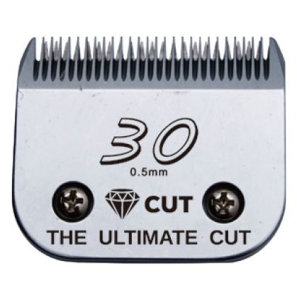 Diamond Cut Blade #30