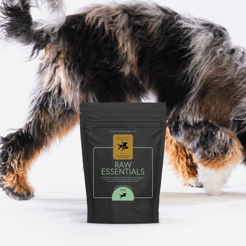 Prosperity Pet Diet Balancer | Raw Essentials 500g