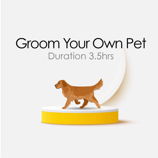 Groom Your Own Pet Course