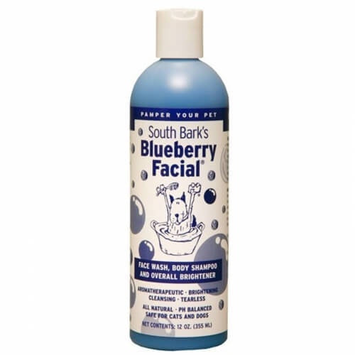 Blueberry Facial Scrub - 355ml