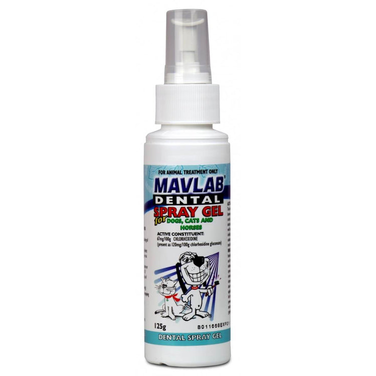Fidos Dental Spray Gel - 125g
