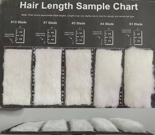 Aeolus Hair Length Sample / Clip Chart