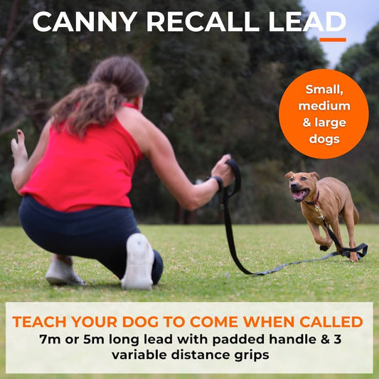 Recall Lead