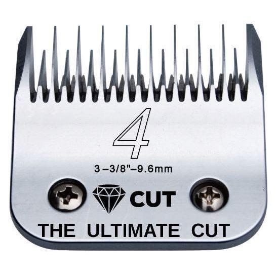 Diamond Cut Blade #4 Skip