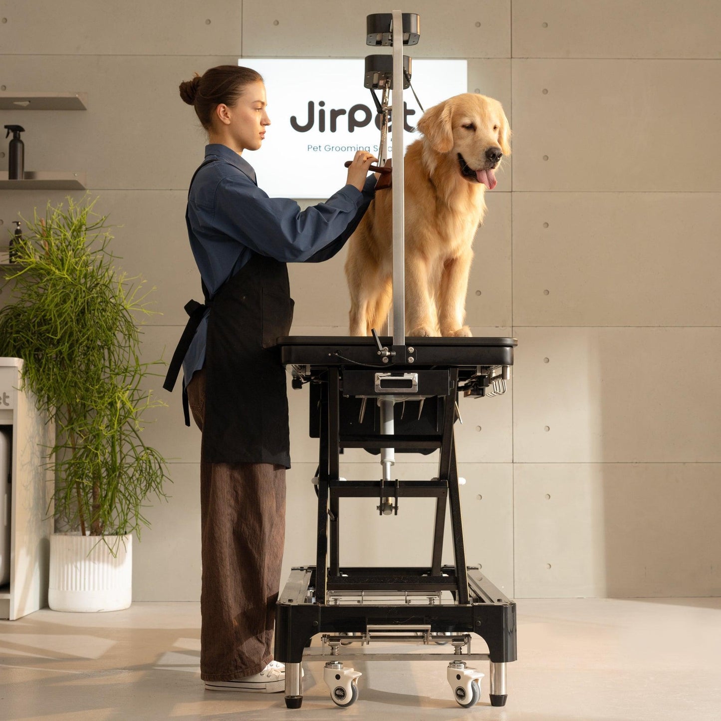 Jirpet Atlas Pet Grooming Table