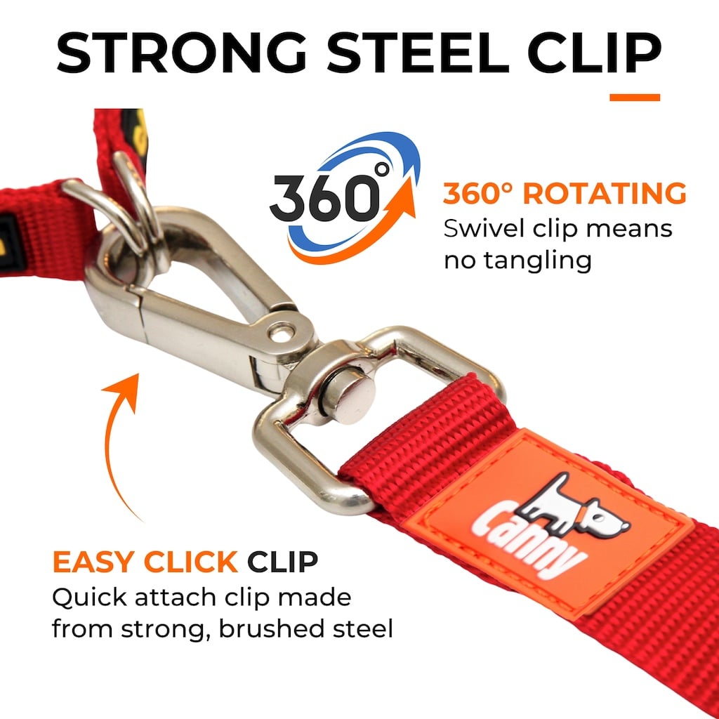 Canny CONNECT Lead