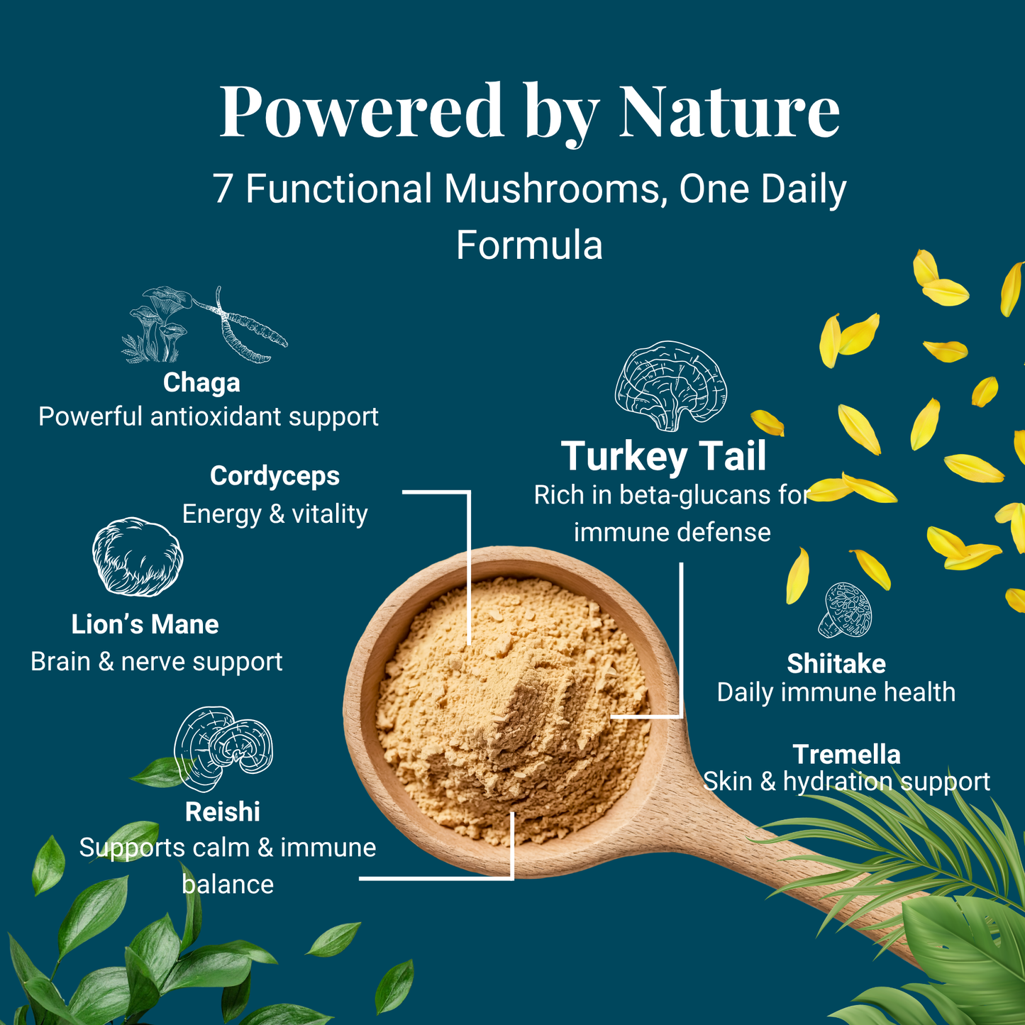Kindly Tail Vital 7 Organic Mushrooms Blend+ Ergothioneine For Dog and Cat