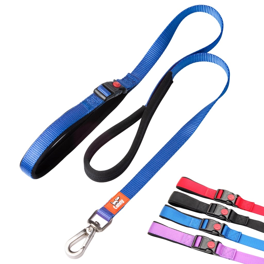 Canny CONNECT Lead