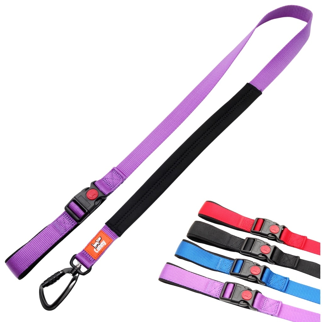 Canny CONNECT Lead