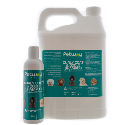 Petway Curly Coat & Oodle Shampoo