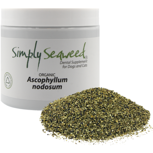 Simply Seaweed - Dental Supplement for dogs teeth