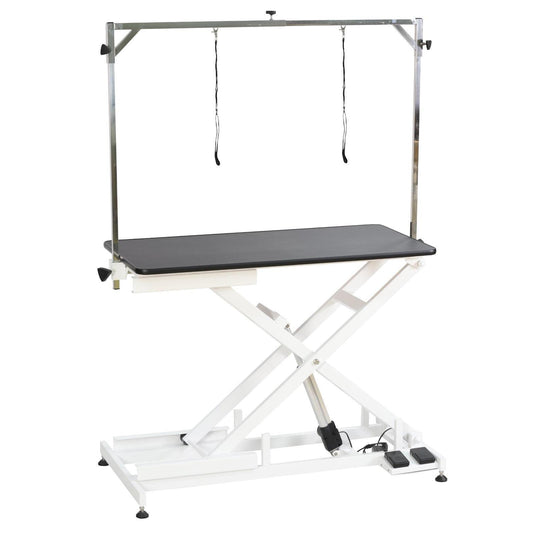 Aeolus Low-Low Electric Lifting Table Eco Version