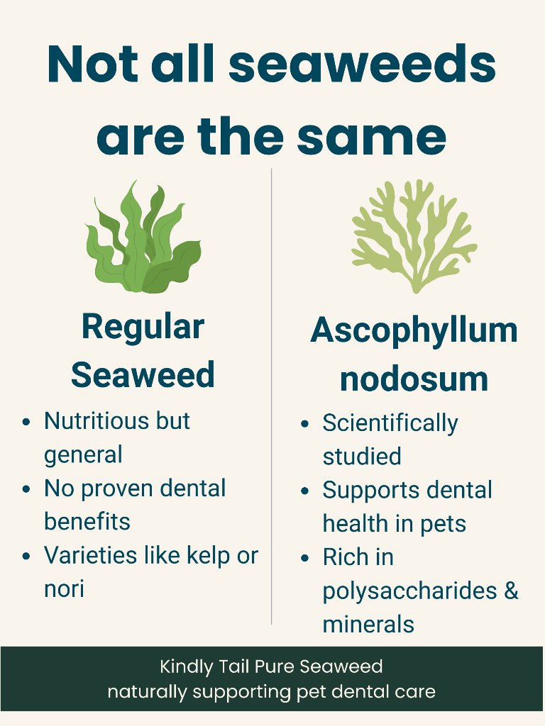 Kindly Tail Pure Seaweed Organic Dental Health Care for Dog and Cat
