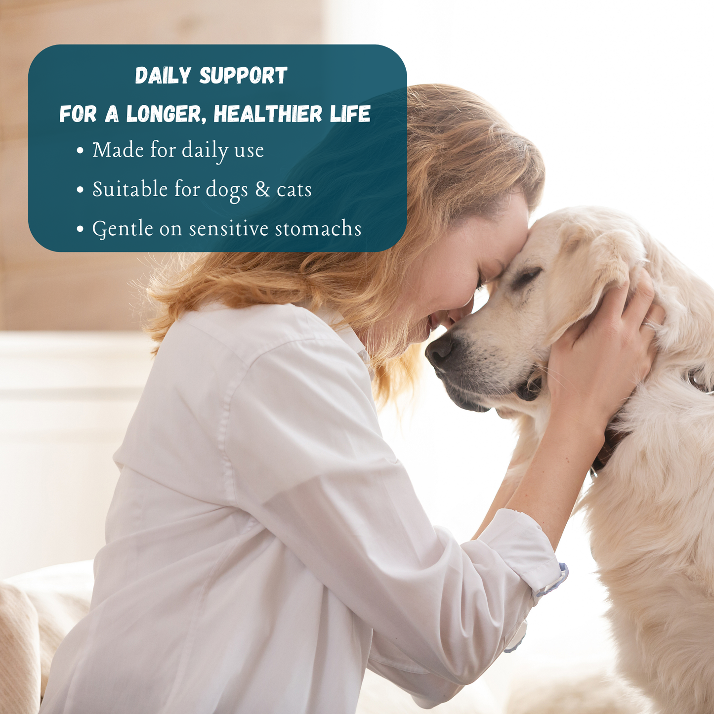 Kindly Tail Vital 7 Organic Mushrooms Blend+ Ergothioneine For Dog and Cat