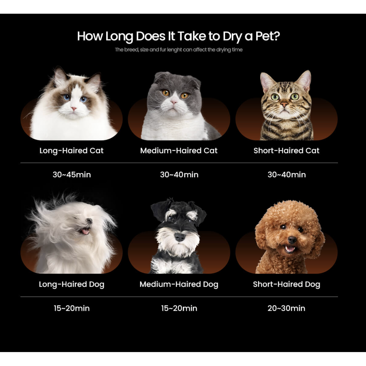 Jirpet F1 Cabin Dryer - Australia Approved Cabin Dryer