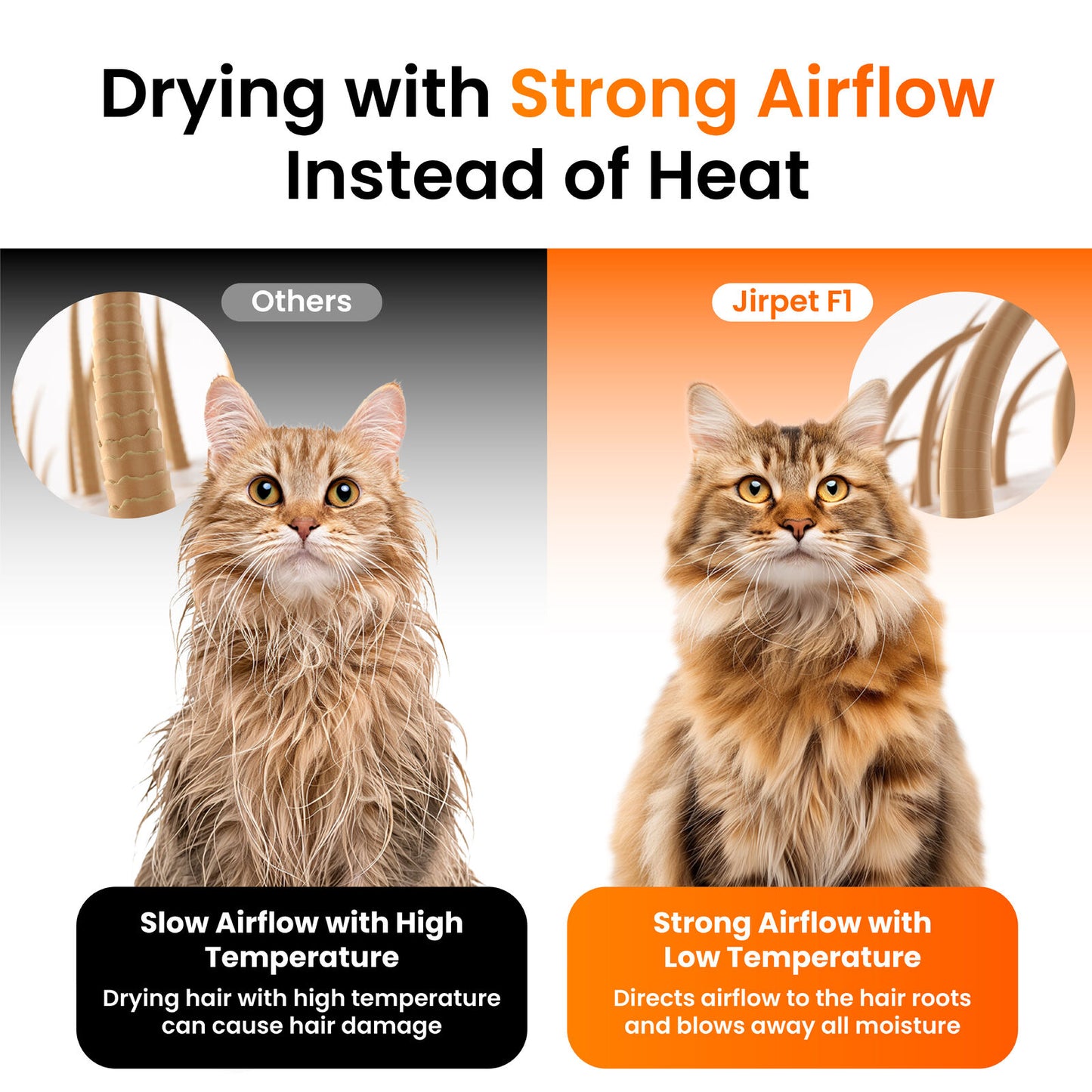 Jirpet F1 Cabin Dryer - Australia Approved Cabin Dryer