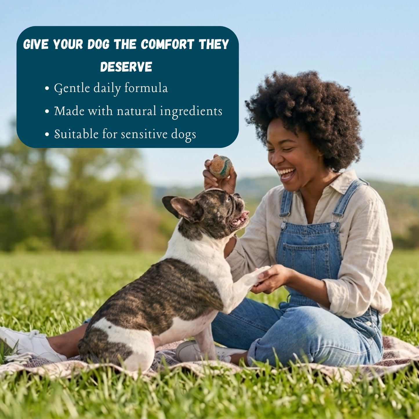 Kindly Tail Quercetin with Bromelain for Dogs – Skin Allergy & Itch Support