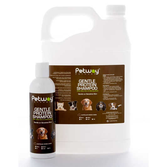 Petway Gentle Protein Shampoo with Aloe Vera & Baking Soda