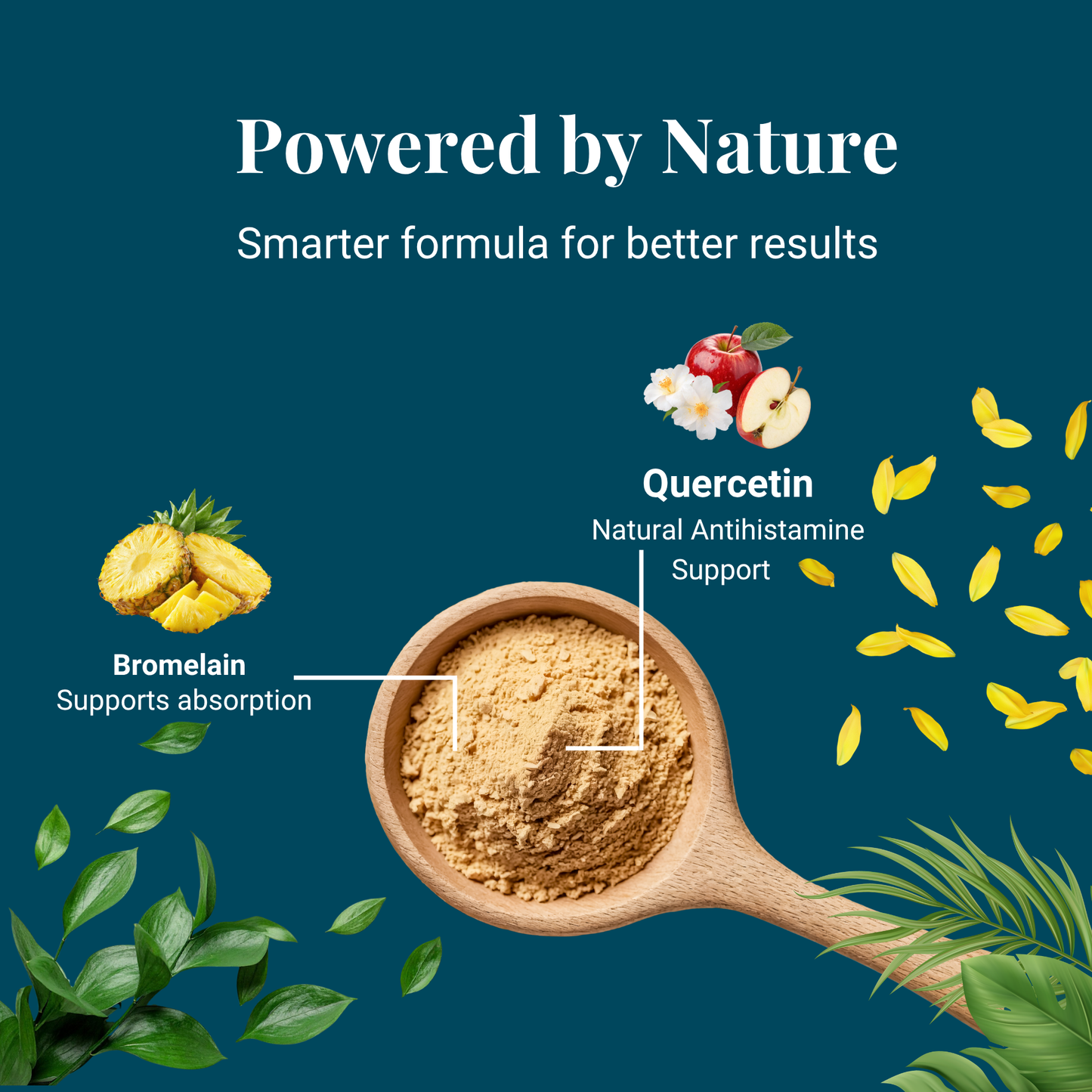 Kindly Tail Quercetin with Bromelain for Dogs – Skin Allergy & Itch Support