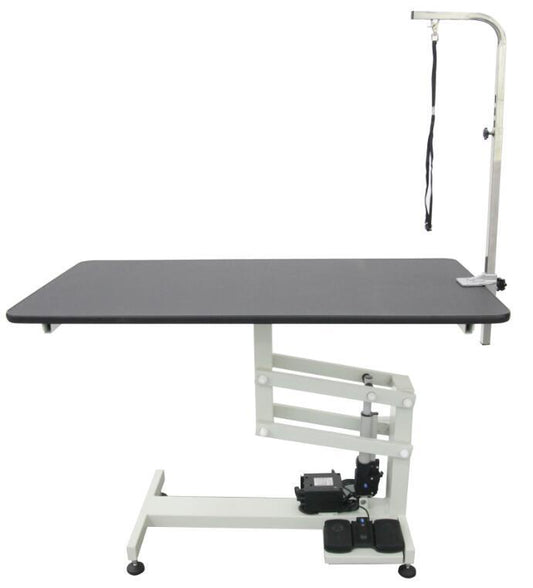 Aeolus Classic Z Shape Electric Lifting Table - Medium