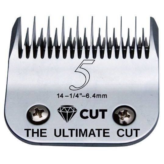 Diamond Cut Blade #5 Skip