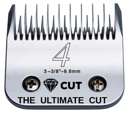 Diamond Cut Blade #4 Skip