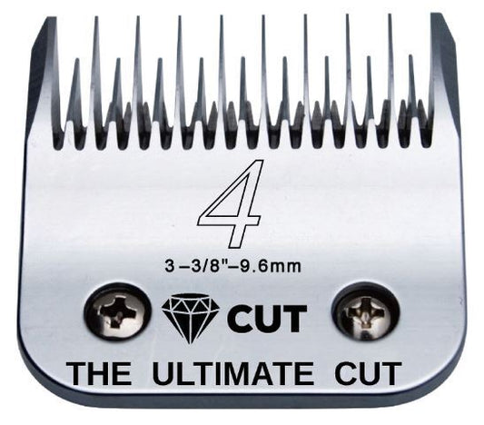 Diamond Cut Blade #4 Skip